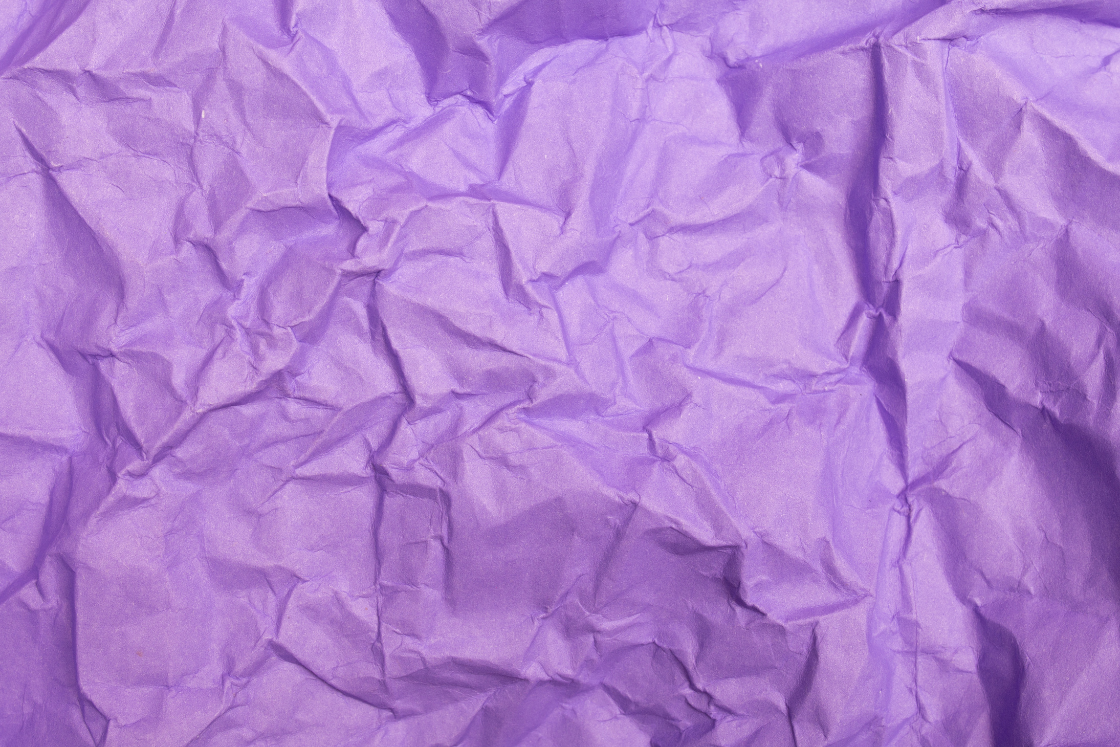 Wrinkled Purple Paper